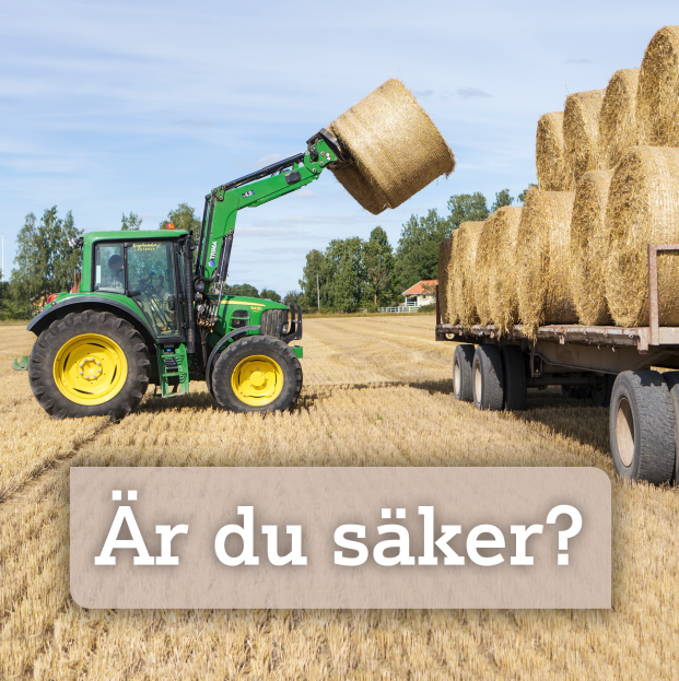 LAMK – är du säker?